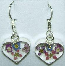 Click for a larger image of Real flower earrings set in sterling silver