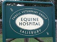 Image 1 for Equine hospital