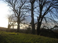 Click for a larger image of Evening over the Vale
